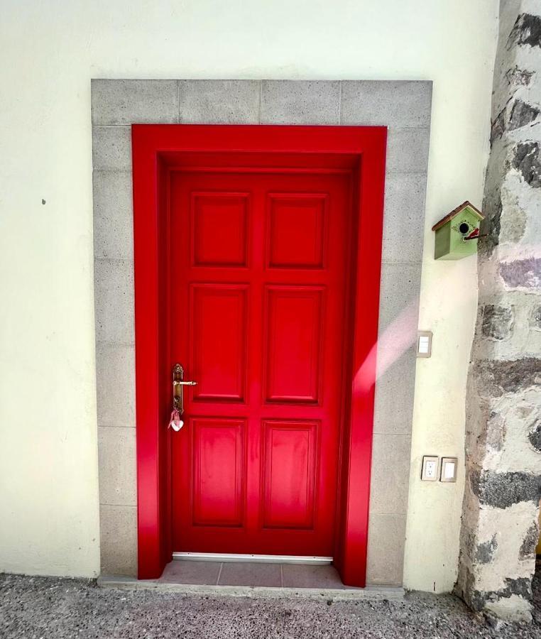 Small Pet Friendly, Pool And Gym Apartment San Miguel de Allende Kültér fotó