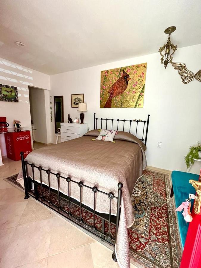 Small Pet Friendly, Pool And Gym Apartment San Miguel de Allende Kültér fotó