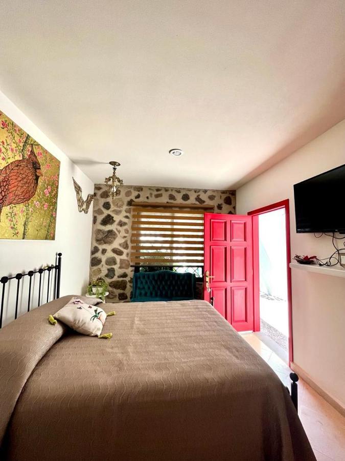 Small Pet Friendly, Pool And Gym Apartment San Miguel de Allende Kültér fotó